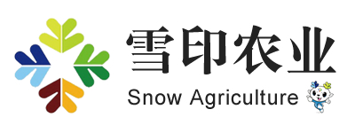 安徽合肥少世胶制品公司官网